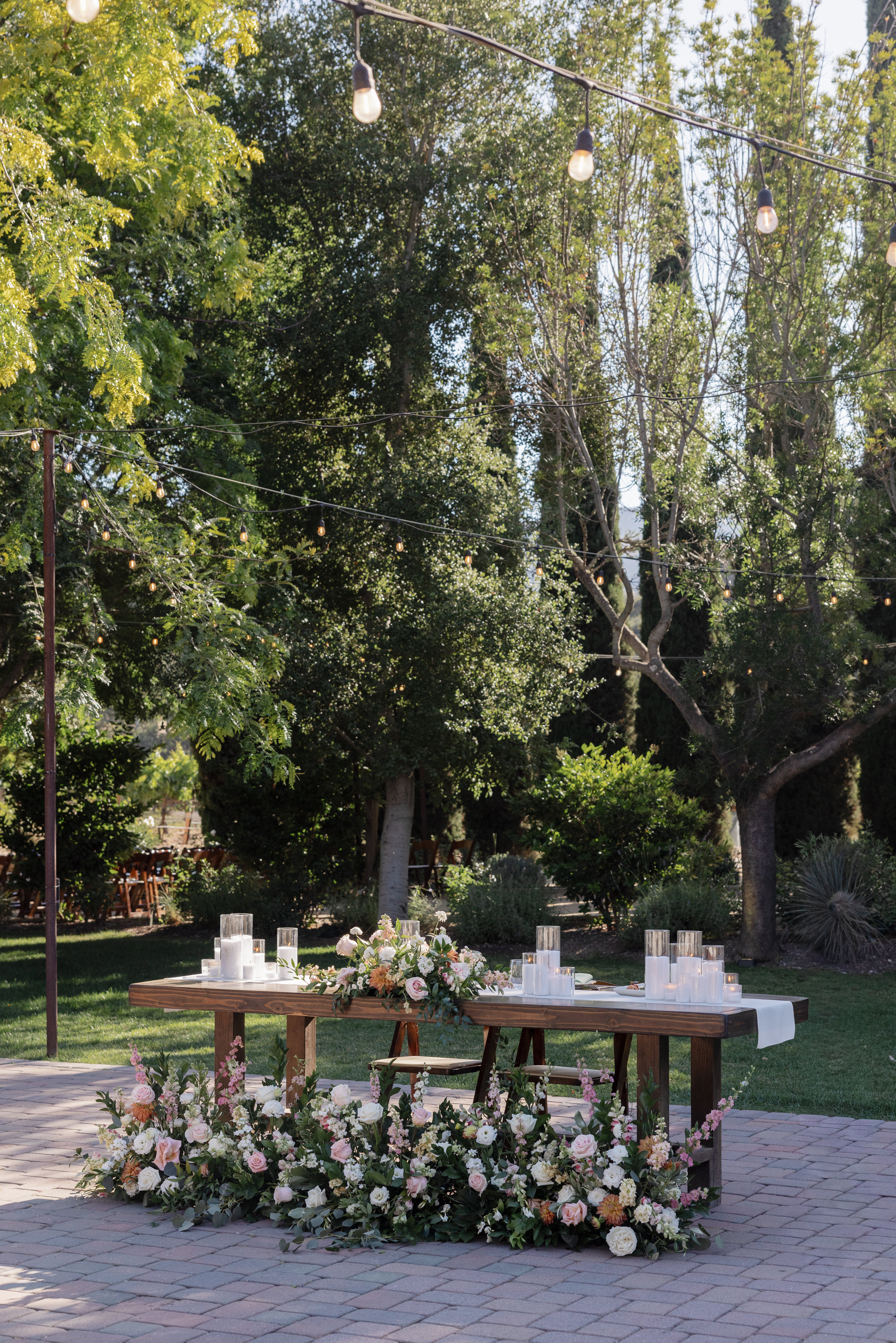 Curate - Design & Concept